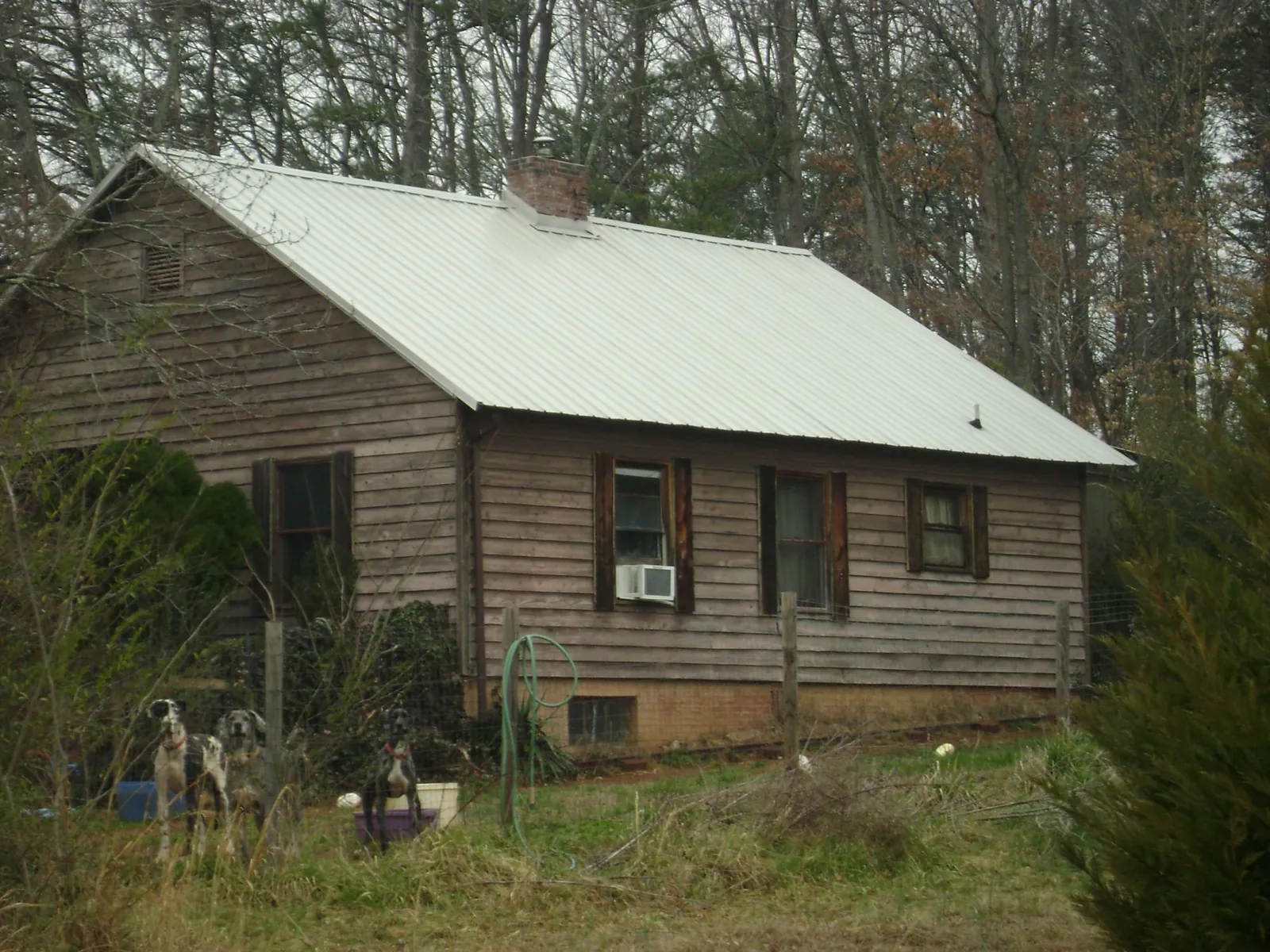 White metal roof on an old wood sided farmhouse, from a Asphalt Shingle Roof Repair job in Benedict